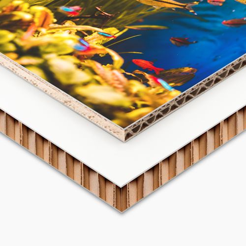 Cartone e cartoncino